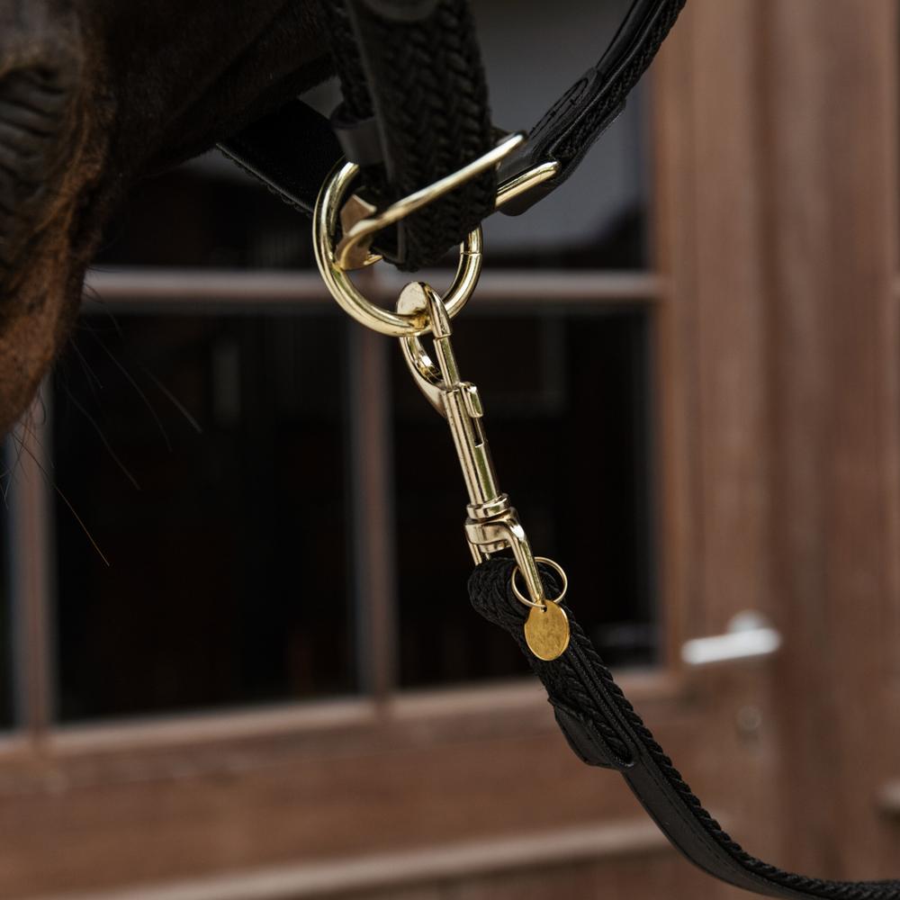 Plaited Nylon Horse Lead | Kentucky Horsewear | Durable — Image 9