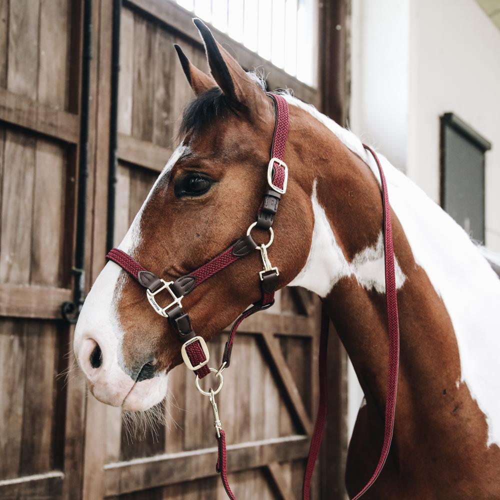 Plaited Nylon Horse Lead | Kentucky Horsewear | Durable — Image 13