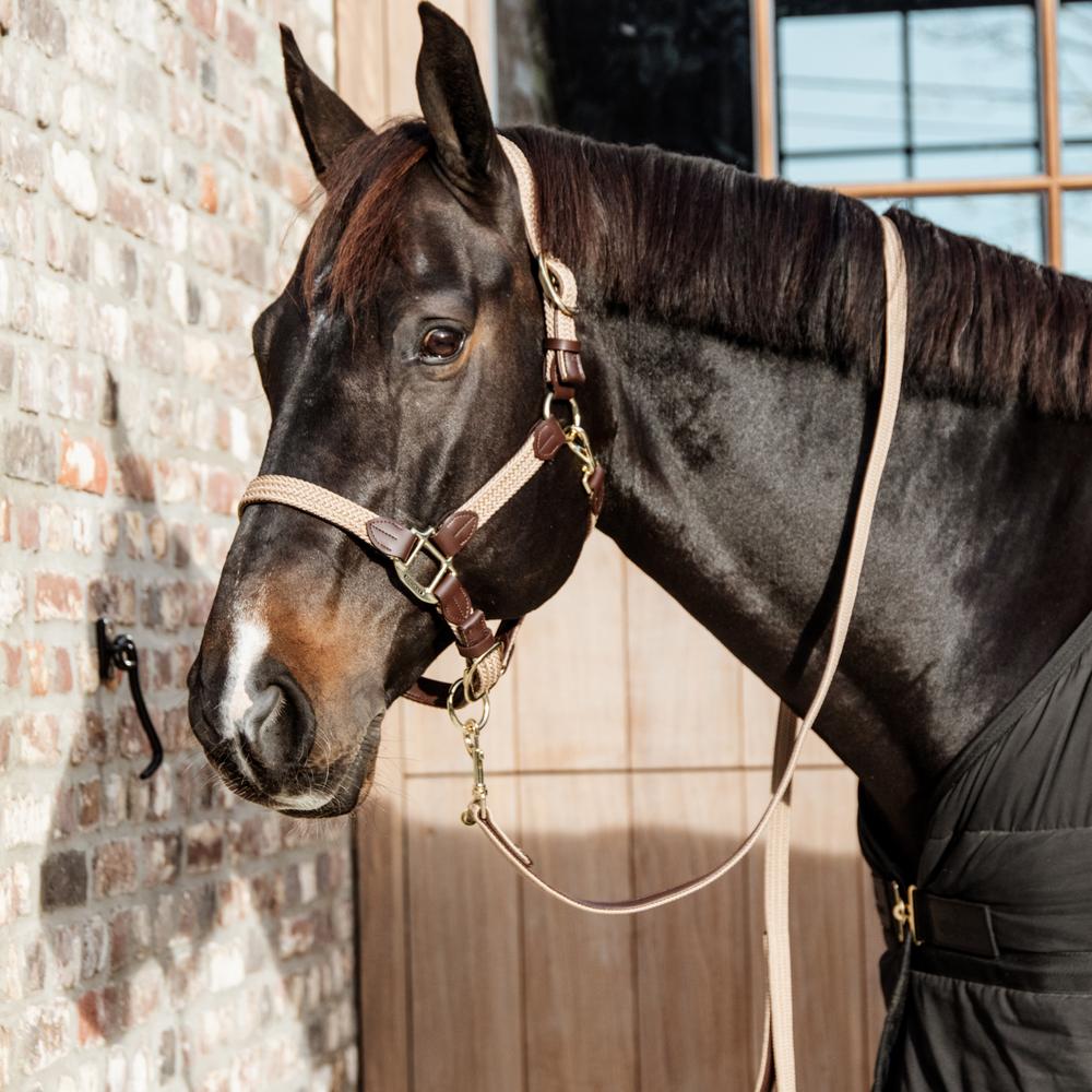 Plaited Nylon Horse Lead | Kentucky Horsewear | Durable — Image 3