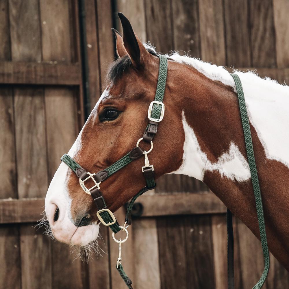 Plaited Nylon Horse Lead | Kentucky Horsewear | Durable — Image 11