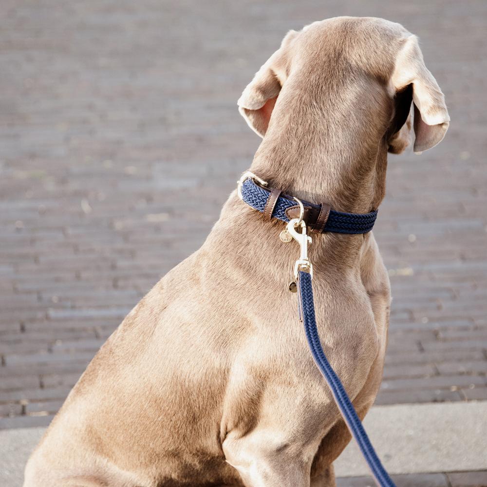 Plaited Nylon Dog Leash 200 cm | Kentucky Dogwear | Stylish — Image 3