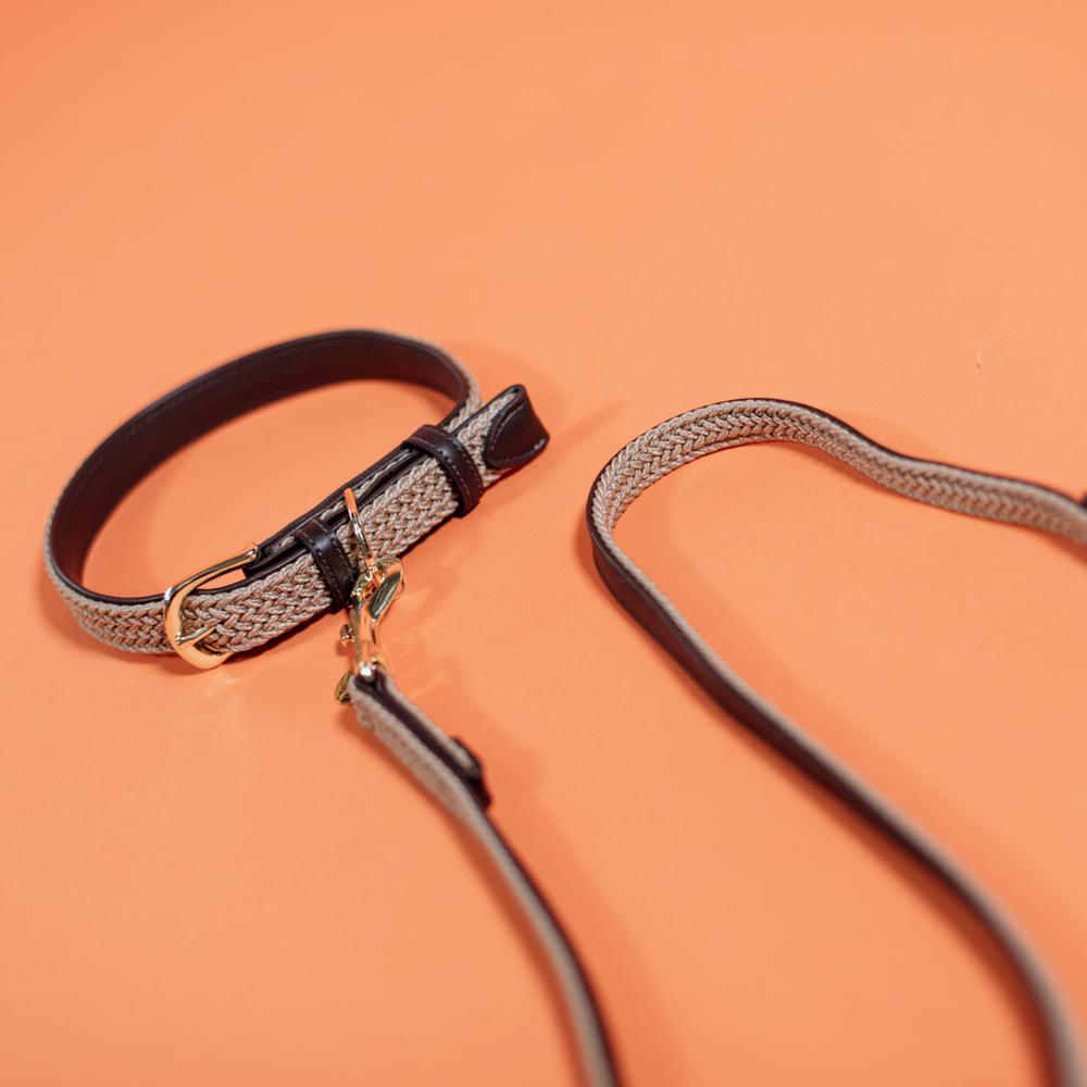 Plaited Nylon Dog Leash 120cm | Kentucky Dogwear | Stylish — Image 10