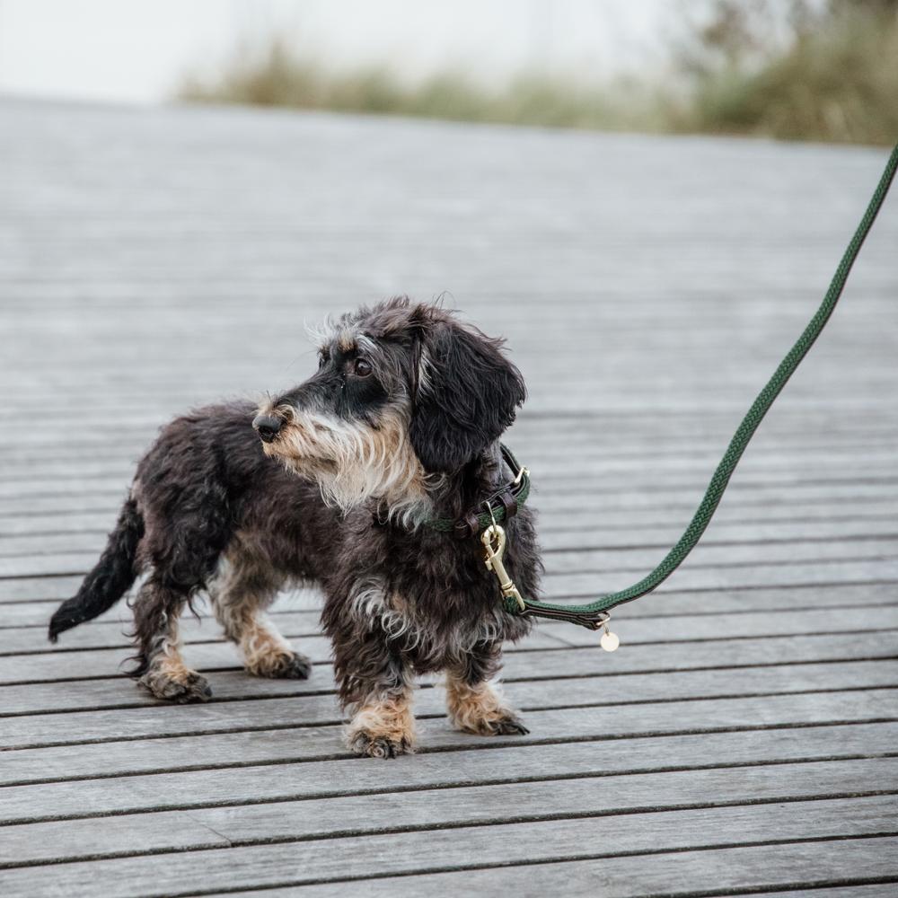 Plaited Nylon Dog Leash 200 cm | Kentucky Dogwear | Stylish — Image 10