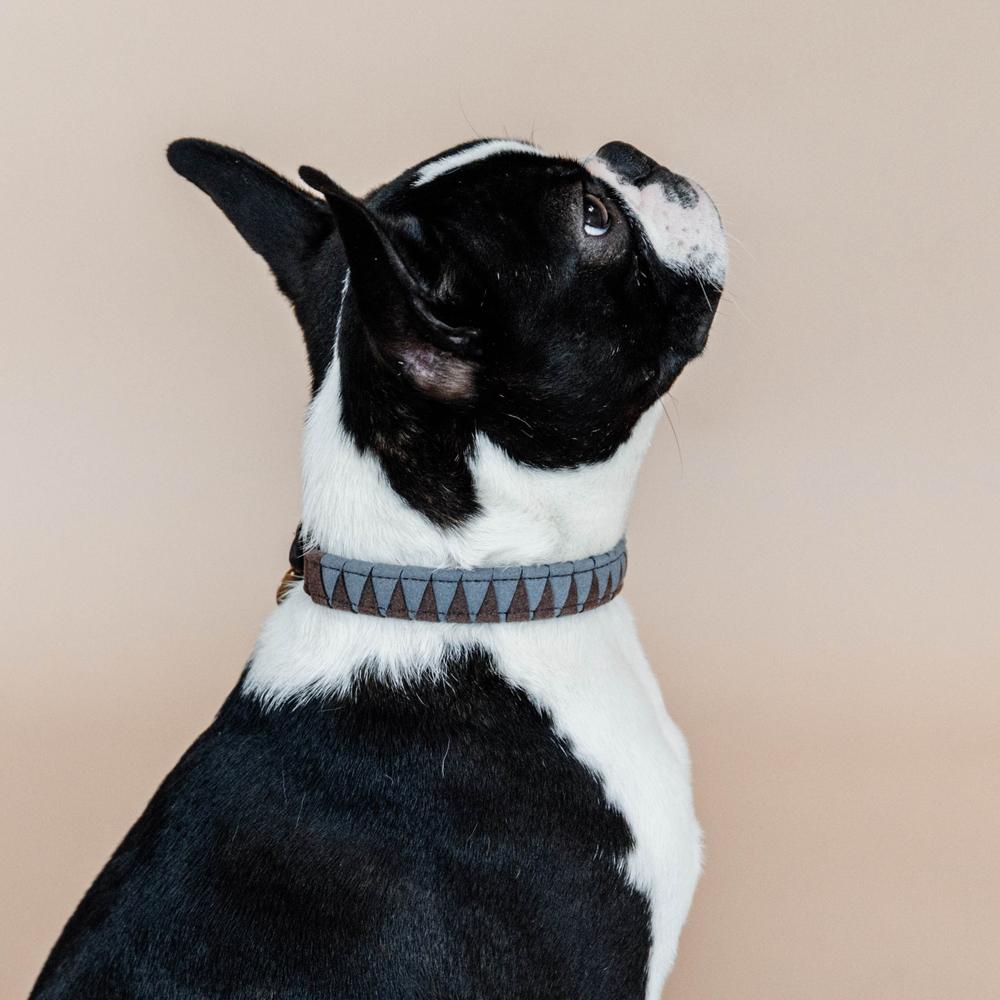 Dog Collar Triangle | Kentucky Dogwear | Durable — Image 4