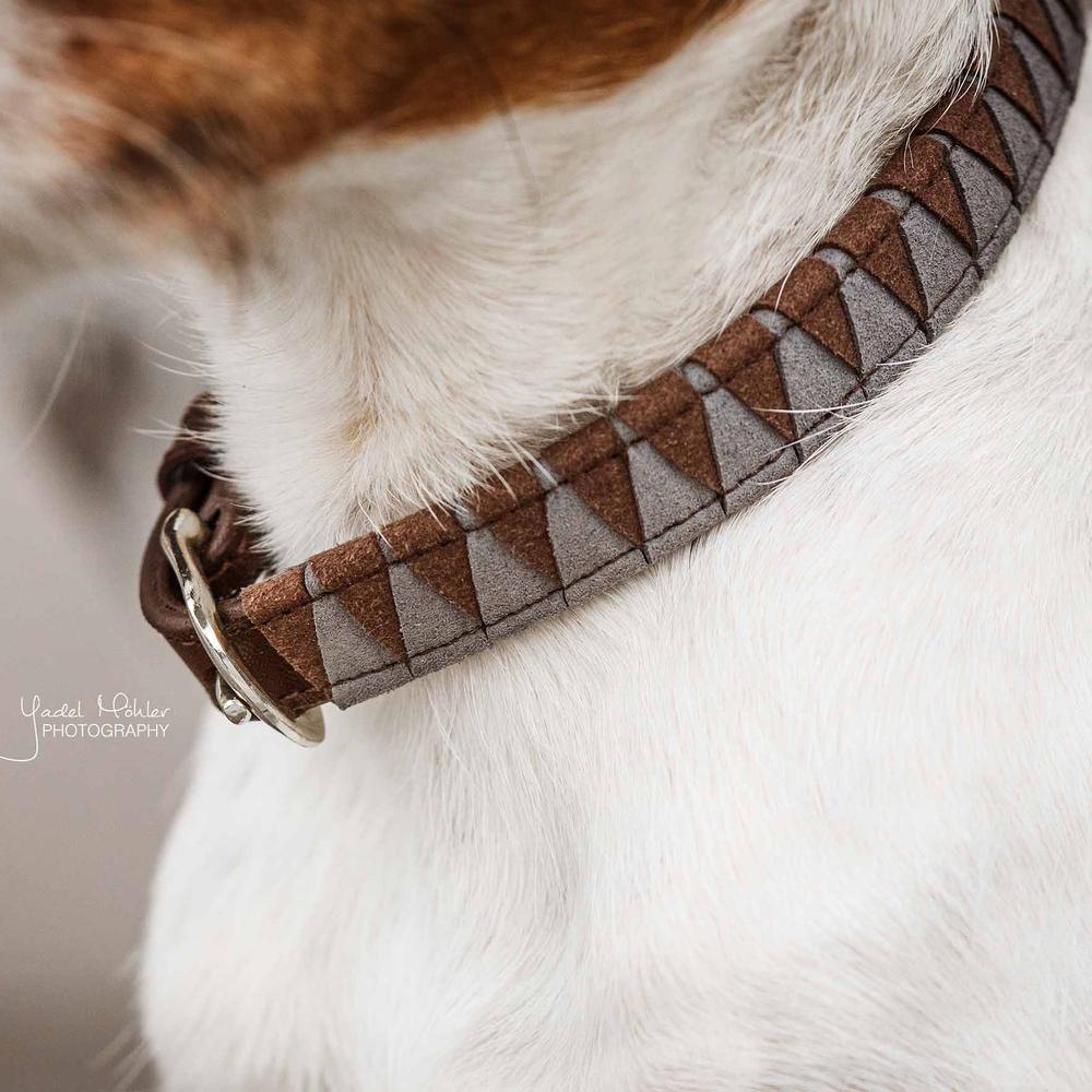 Dog Collar Triangle | Kentucky Dogwear | Durable — Image 6