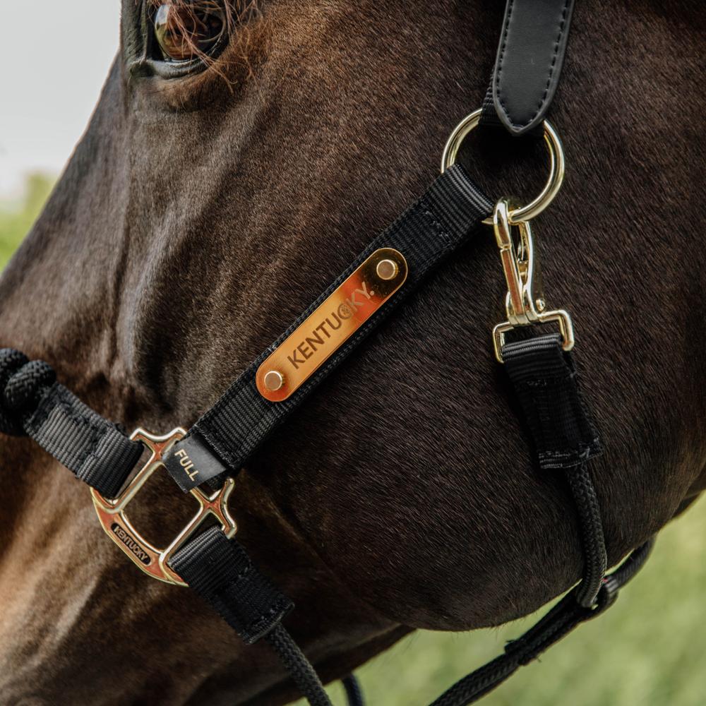 Control Halter | Kentucky Horsewear | Durable — Image 4