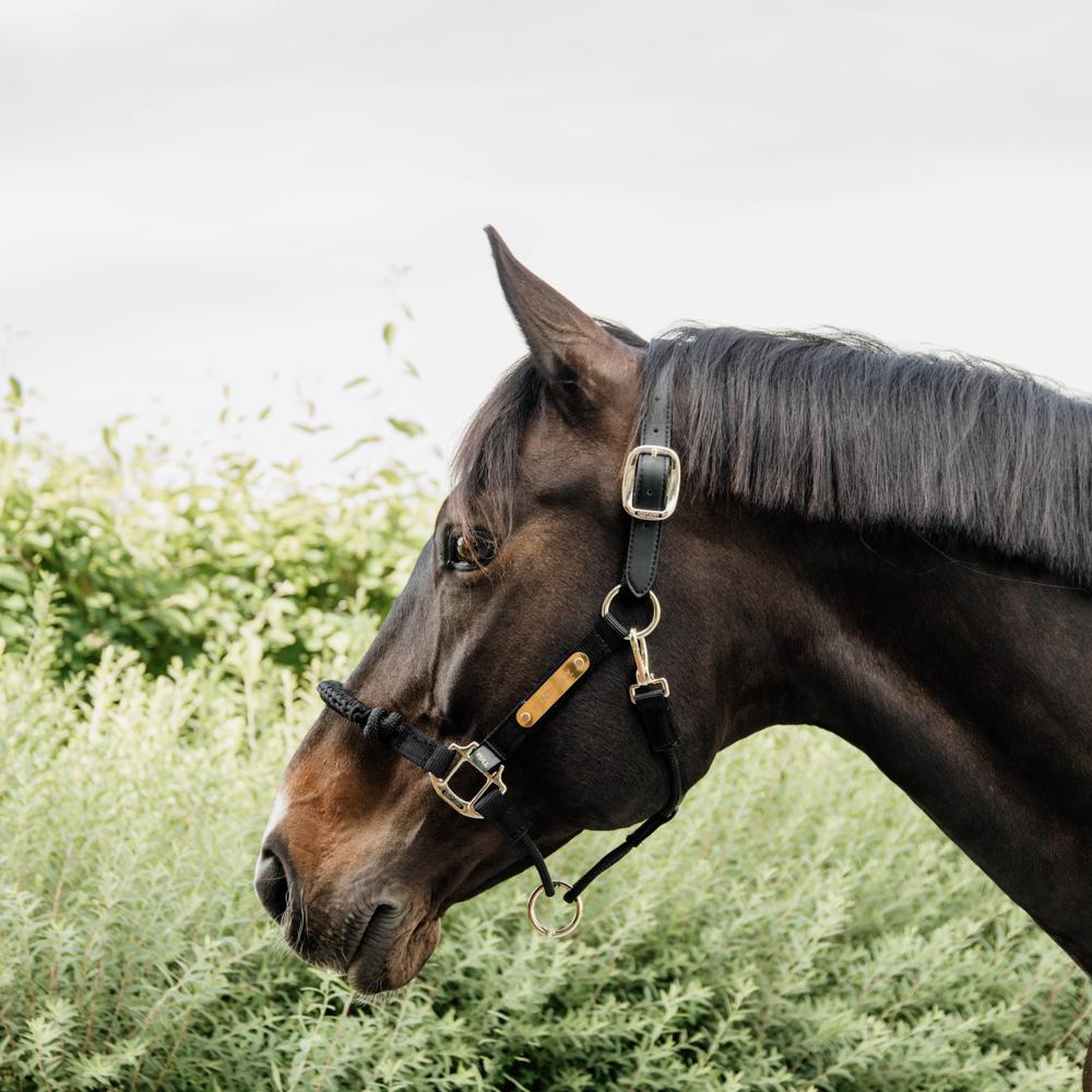 Control Halter | Kentucky Horsewear | Durable — Image 3