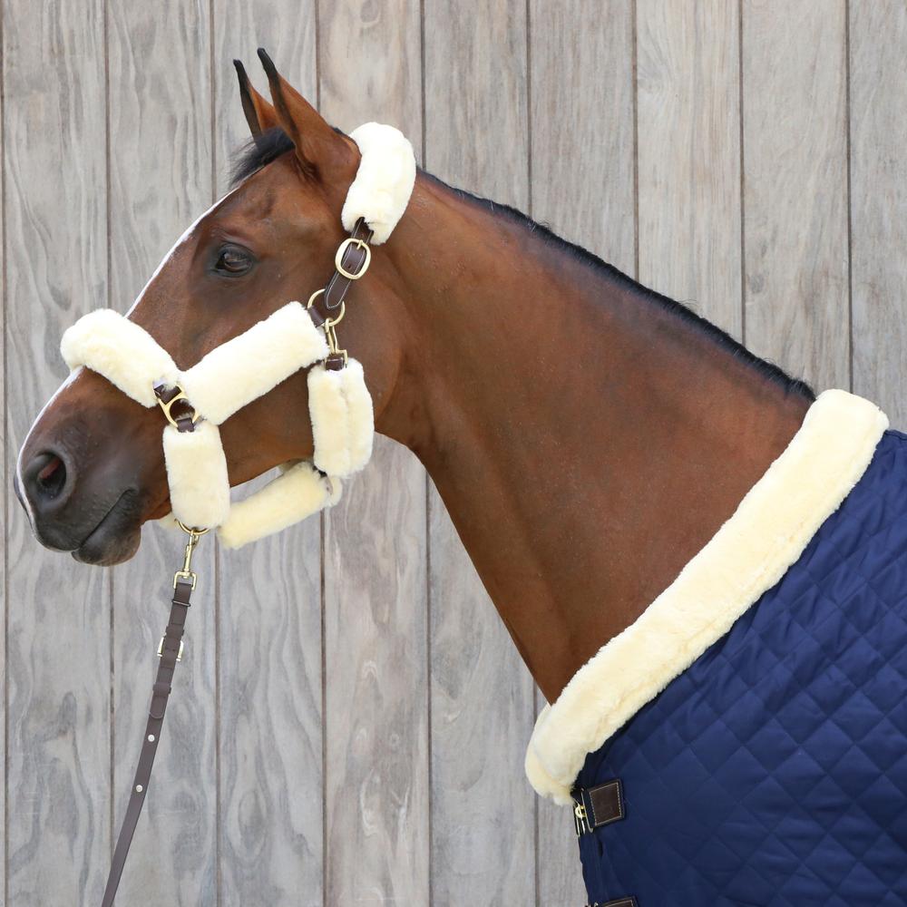 Presentation Lead | Kentucky Horsewear | Durable — Image 7