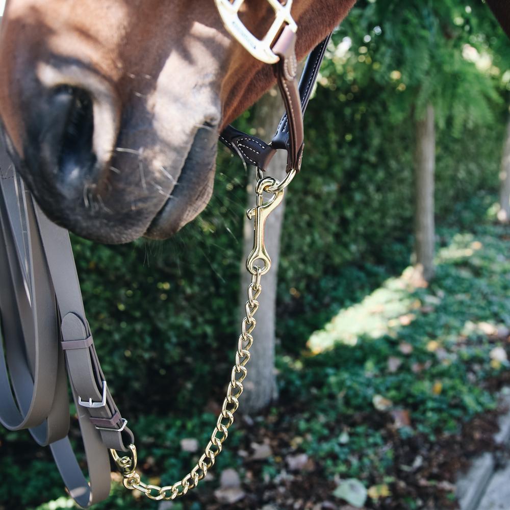 Stallion Chain | Kentucky Horsewear | control — Image 4
