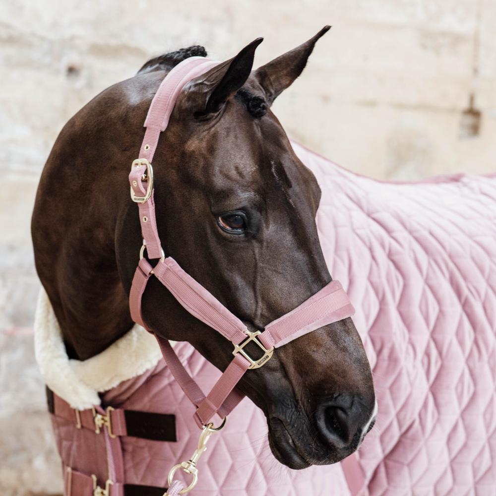 Lead Rope Basic | Kentucky Horsewear | durable — Image 5