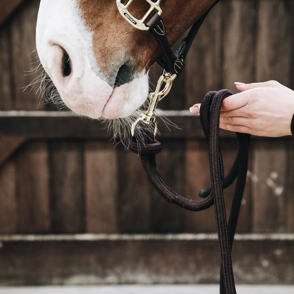 Lead Rope Loop | Kentucky Horsewear | Durable — Image 5