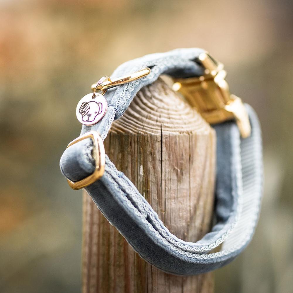 Dog Collar Velvet | Kentucky Dogwear | Stylish — Image 7