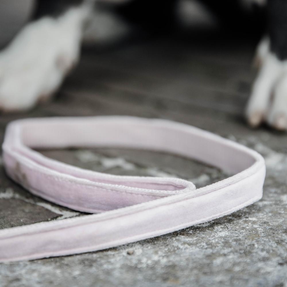 Dog Leash Velvet 120 cm | Kentucky Dogwear | luxurious — Image 19