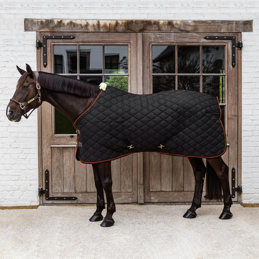 Stable Rug Wave 160g | Kentucky Horsewear | Durable — Image 7