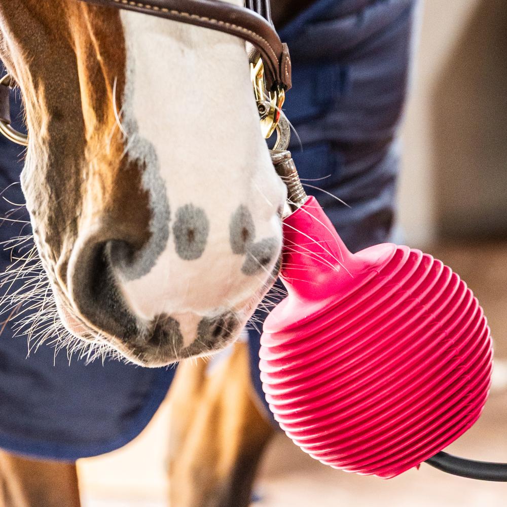 Lead & Wall Protection Rubber Ball Pro | Grooming Deluxe | DurableSoftRubber — Image 15