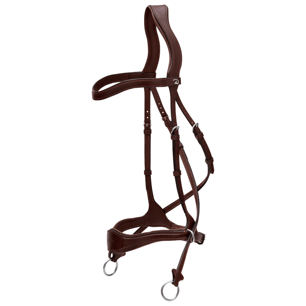 D Motion Bridle NE | Dy'on | Comfort — Image 3