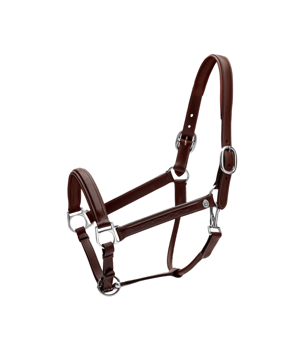 Head Collar Fancy | Dy'on | Durability