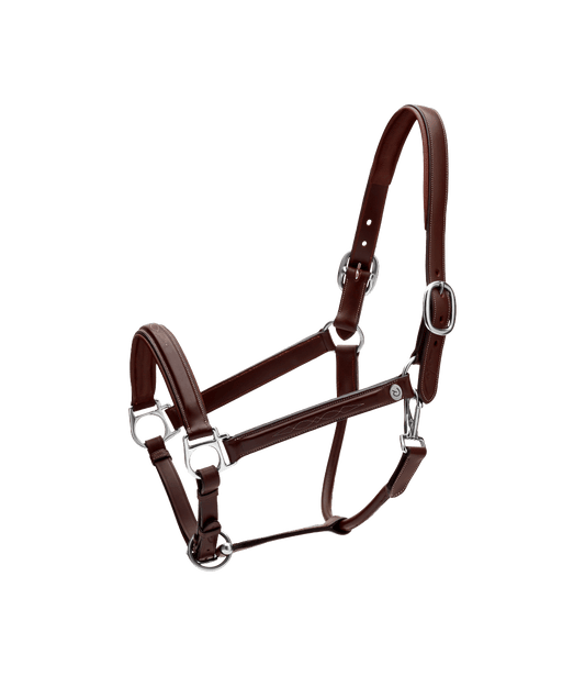 Head Collar Fancy | Dy'on | Durability