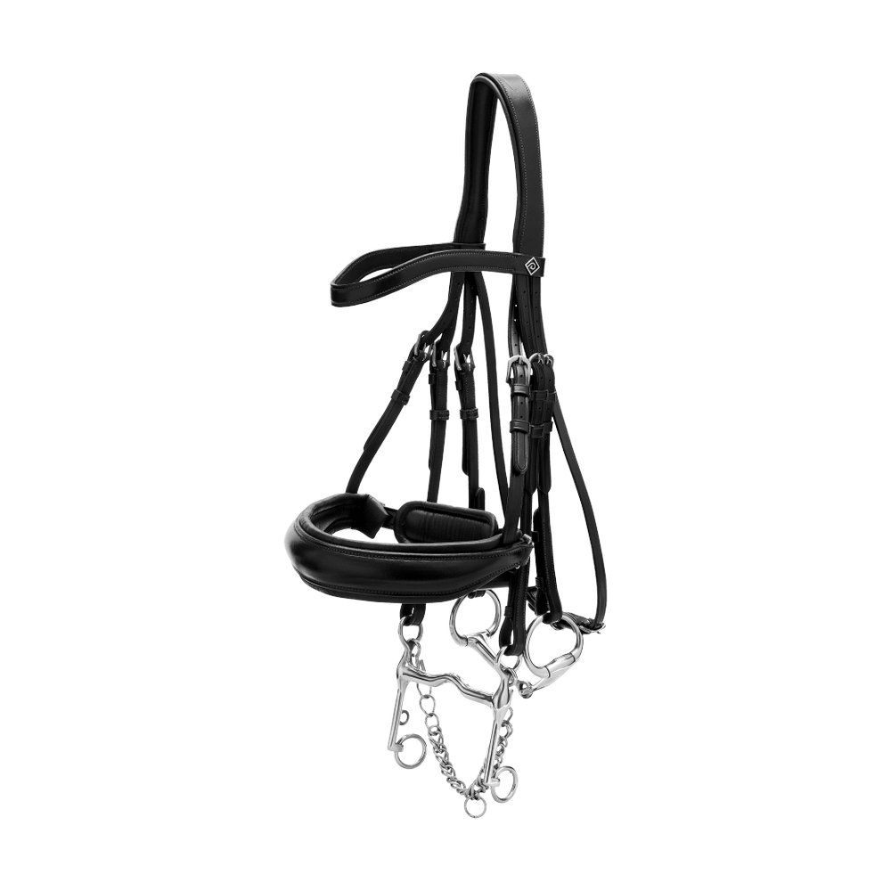 Matte Large Crank Noseband Double Bridle | Dy'on | Comfort