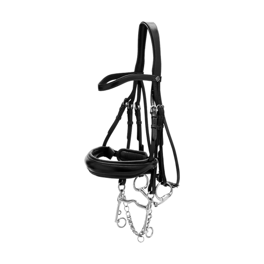 Matte Large Crank Noseband Double Bridle | Dy'on | Comfort