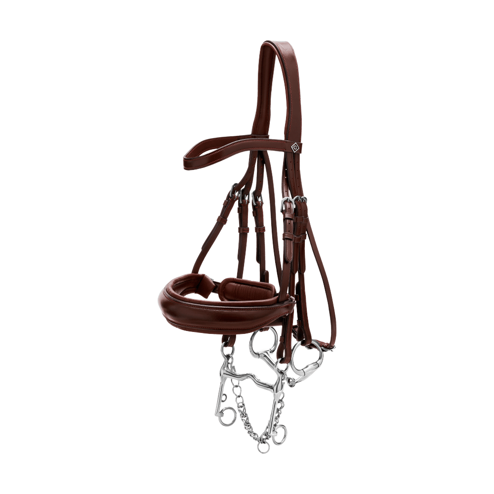 Matte Large Crank Noseband Double Bridle | Dy'on | Comfort — Image 6
