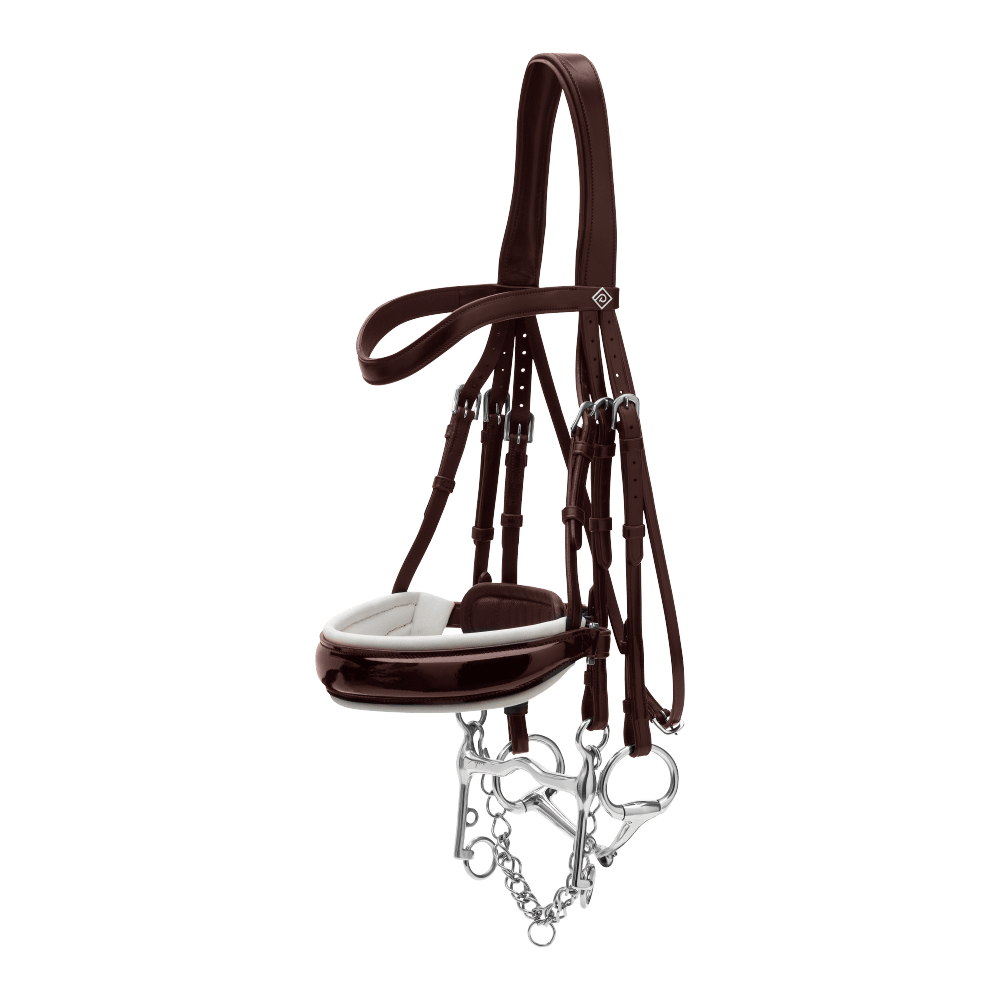 Patent Large Crank Noseband With White Padding Double Bridle | Dy'on | Comfort — Image 3