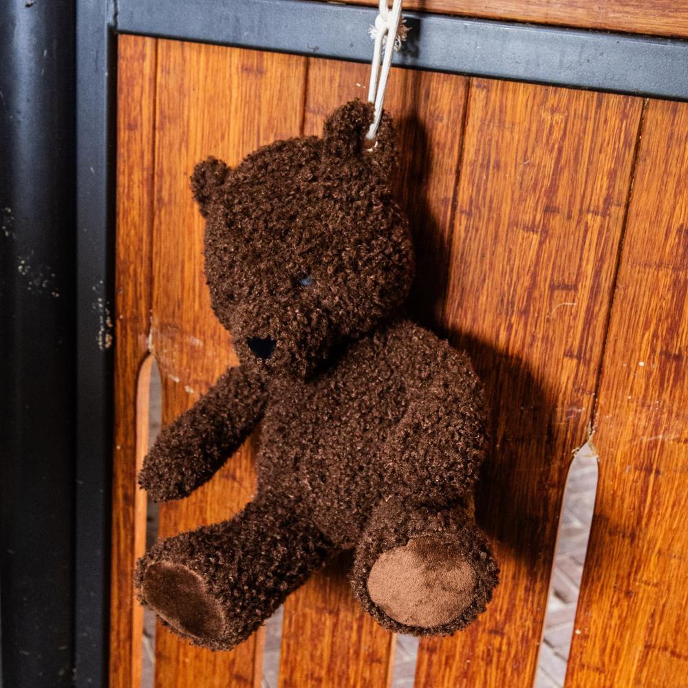 Relax Horse Toy Bear | Kentucky Horsewear | [kentucky_horsewear] — Image 4