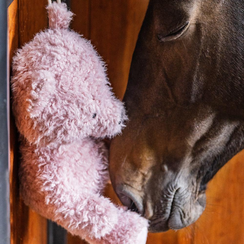 Relax Horse Toy Bear | Kentucky Horsewear | [kentucky_horsewear] — Image 6