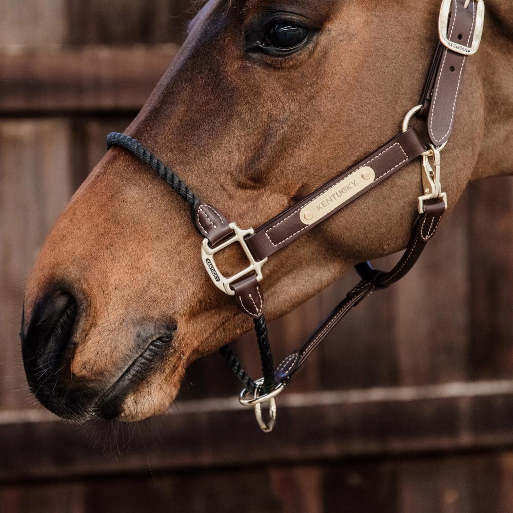 Leather Rope Halter | Kentucky Horsewear | durable — Image 2