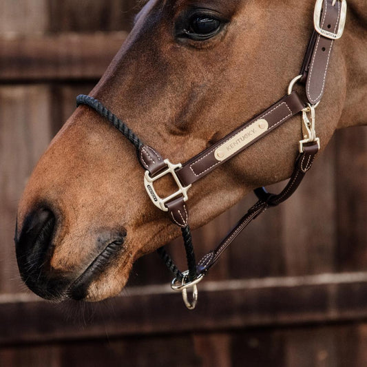 Leather Rope Halter | Kentucky Horsewear | durable — Image 2