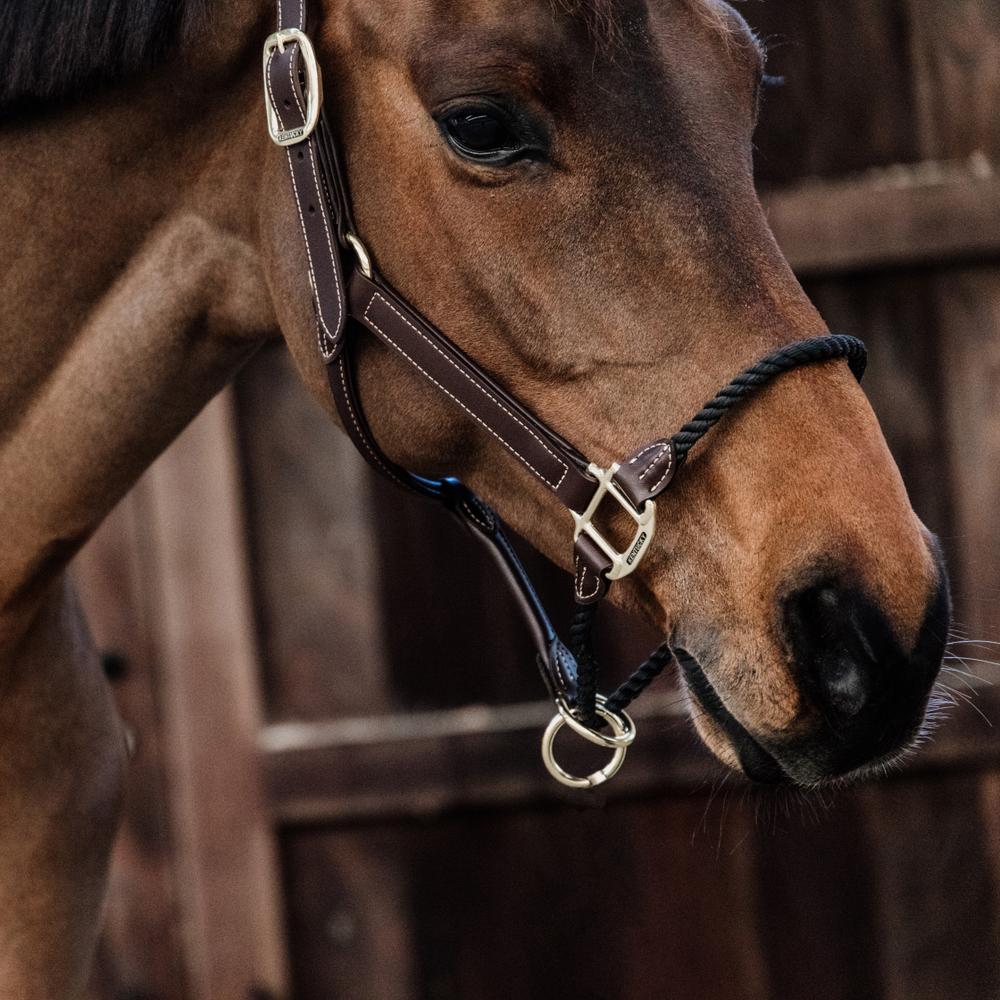 Leather Rope Halter | Kentucky Horsewear | durable — Image 3