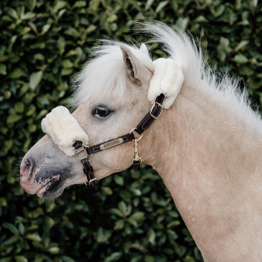 Leather Halter Sheepskin | Kentucky Horsewear | Comfort — Image 3