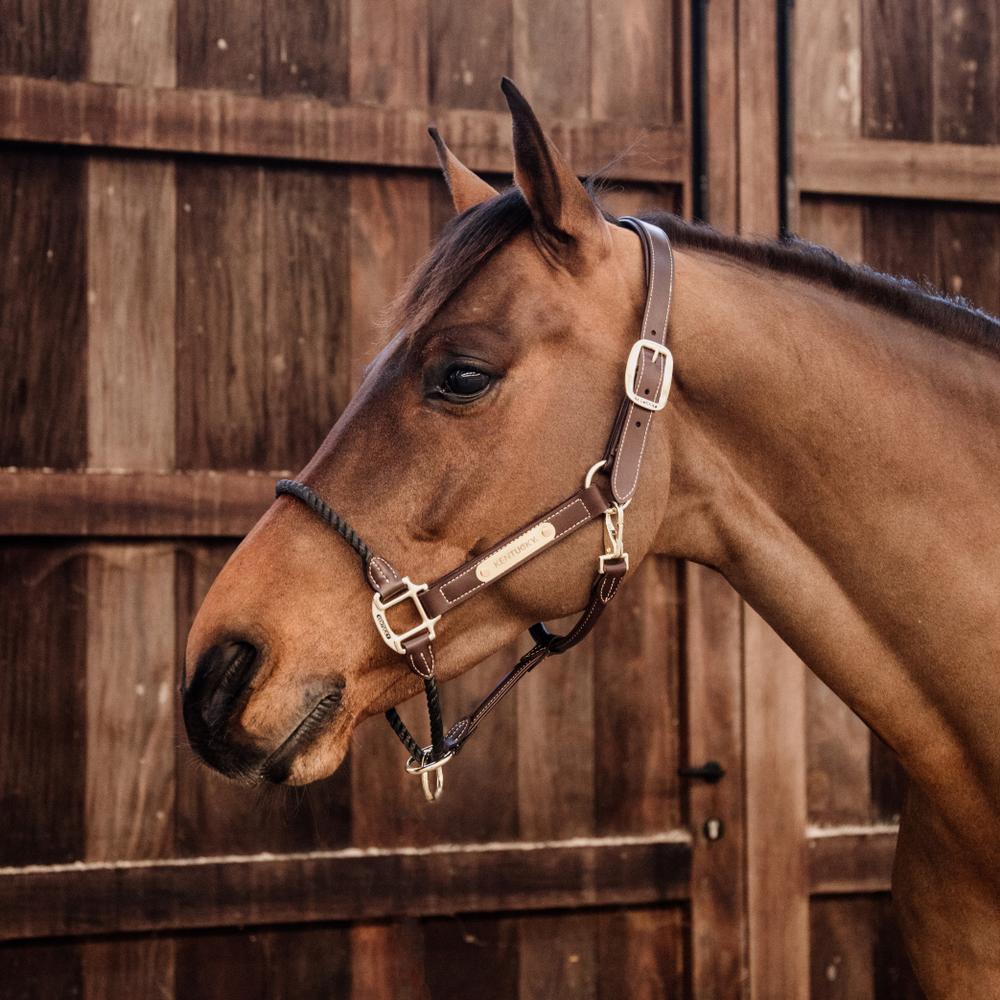 Leather Rope Halter | Kentucky Horsewear | durable — Image 4