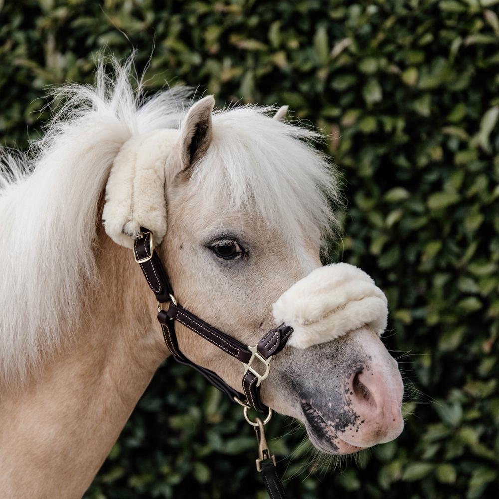 Leather Halter Sheepskin | Kentucky Horsewear | Comfort — Image 4