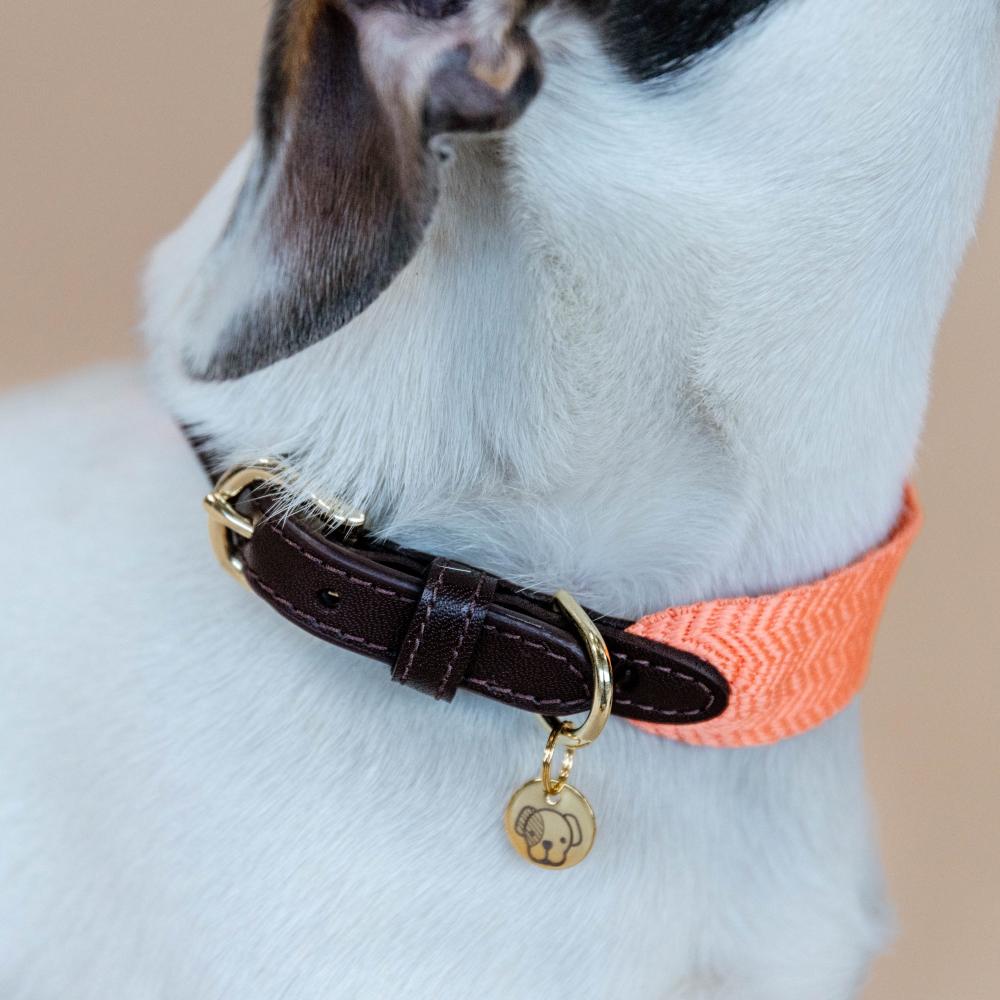 Dog Collar Jacquard | Kentucky Dogwear | Stylish — Image 8