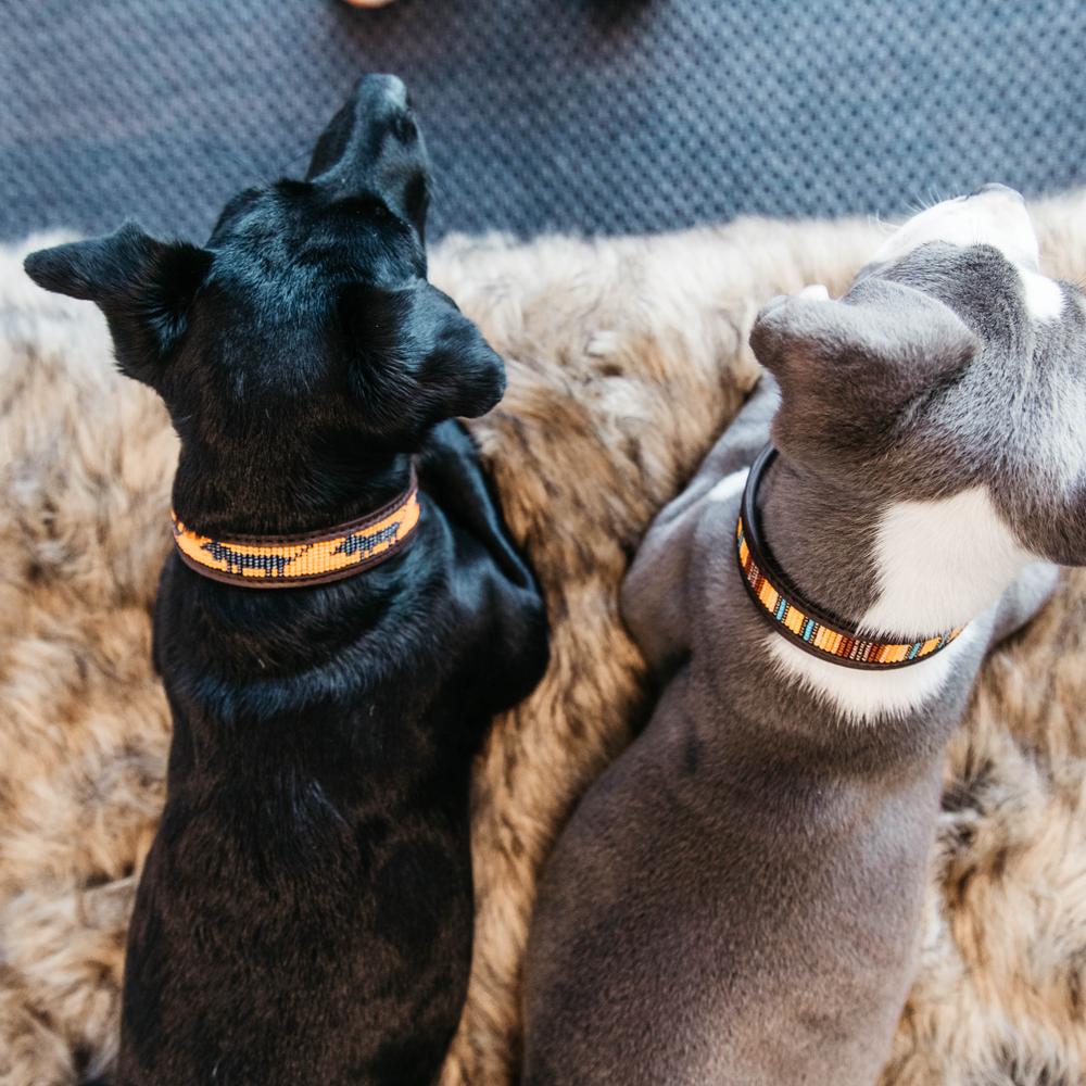 Dog Collar Handmade Pearls | Kentucky Dogwear | Stylish — Image 4