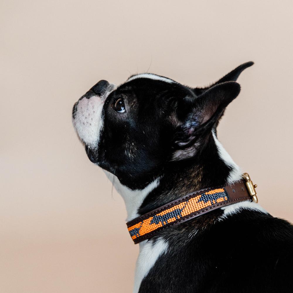 Dog Collar Handmade Pearls | Kentucky Dogwear | Stylish — Image 12