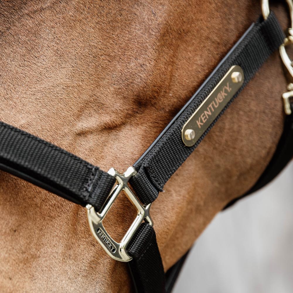 Nylon Anatomic Halter | Kentucky Horsewear | Durable — Image 11