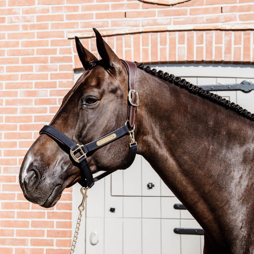Nylon Anatomic Halter | Kentucky Horsewear | Durable — Image 3