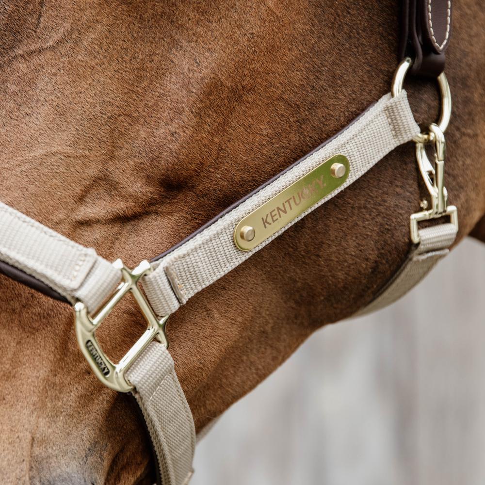 Nylon Anatomic Halter | Kentucky Horsewear | Durable — Image 5