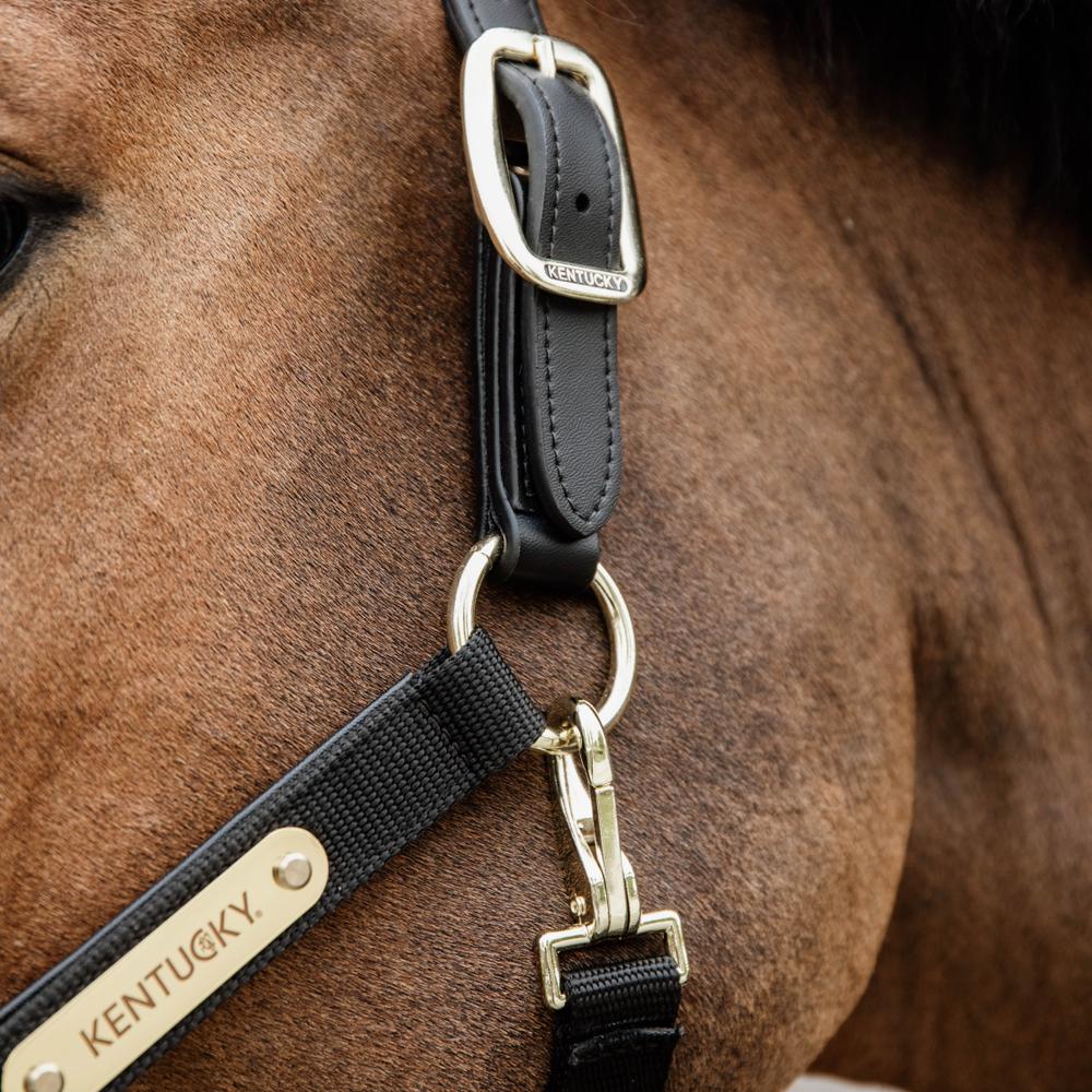 Nylon Anatomic Halter | Kentucky Horsewear | Durable — Image 12