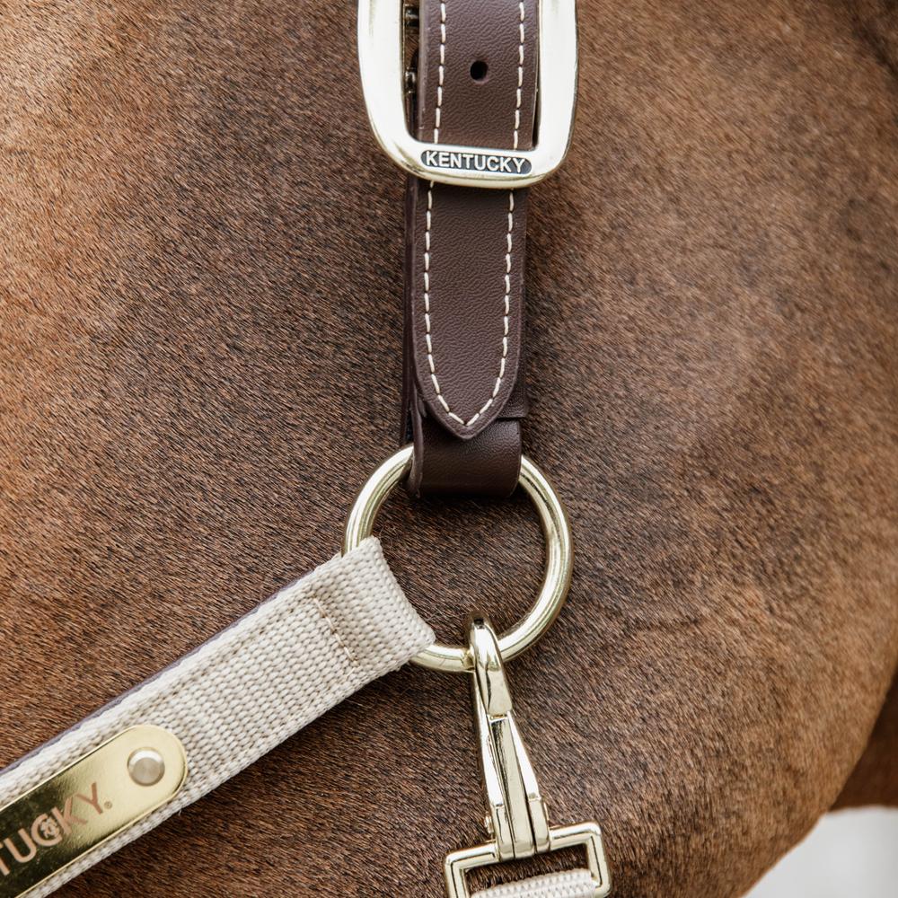Nylon Anatomic Halter | Kentucky Horsewear | Durable — Image 8