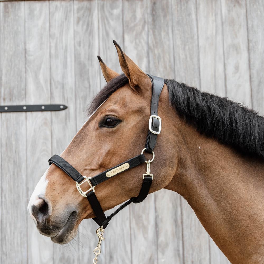 Nylon Anatomic Halter | Kentucky Horsewear | Durable — Image 13