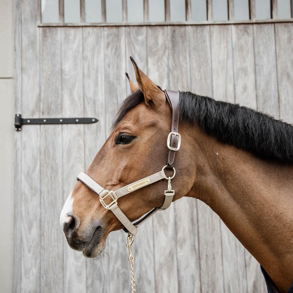 Nylon Anatomic Halter | Kentucky Horsewear | Durable — Image 9
