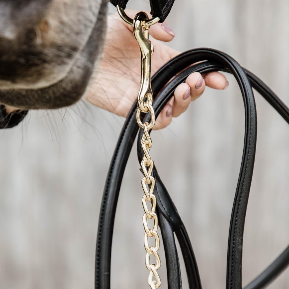 Leather Chain Lead | Kentucky Horsewear | Durable — Image 7