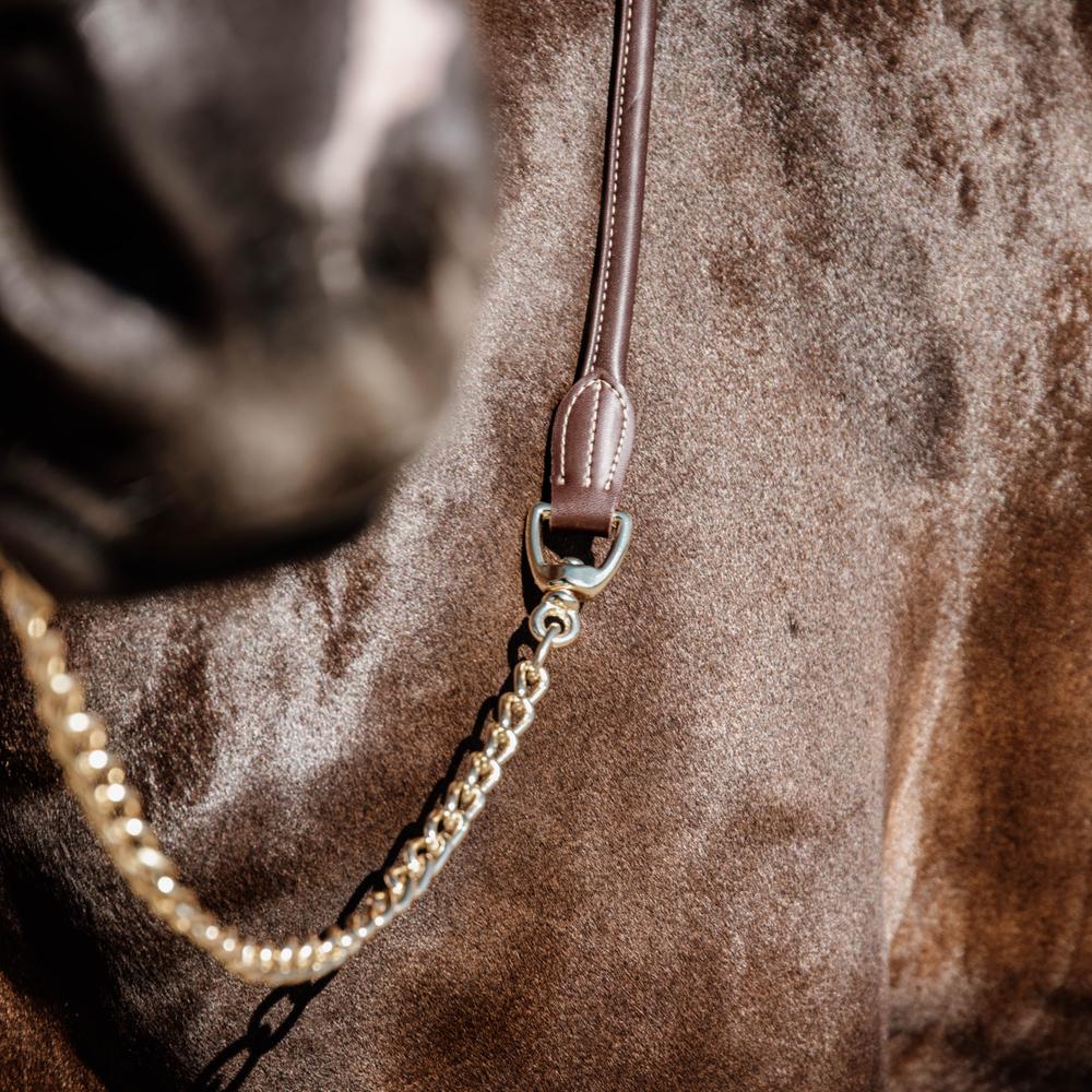 Leather Chain Lead | Kentucky Horsewear | Durable — Image 3