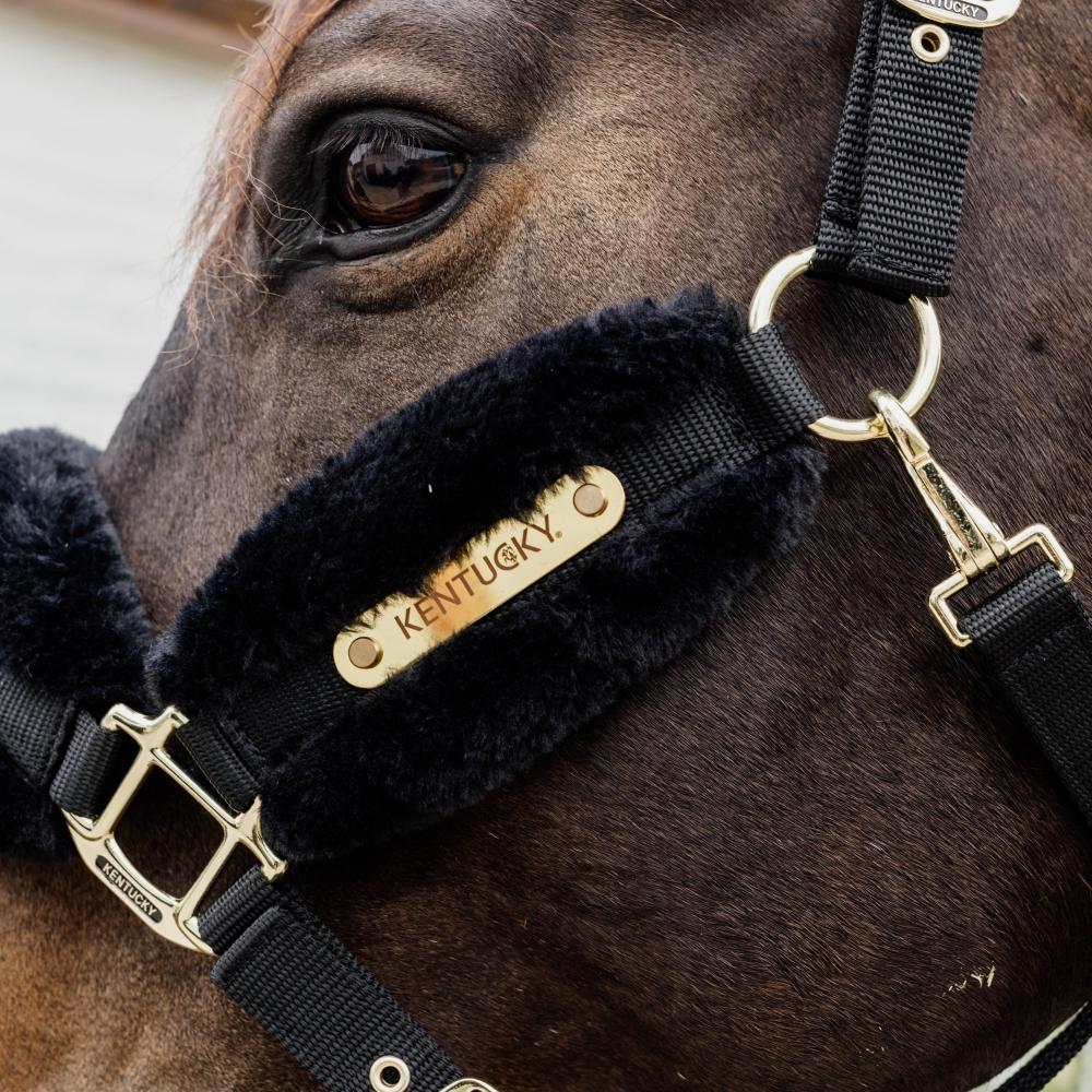 Nylon Sheepskin Halter Soft | Kentucky Horsewear | Comfort — Image 8