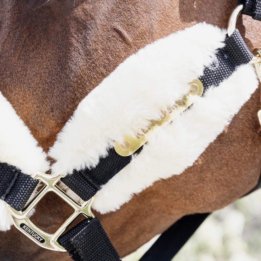 Nylon Sheepskin Halter Soft | Kentucky Horsewear | Comfort — Image 2