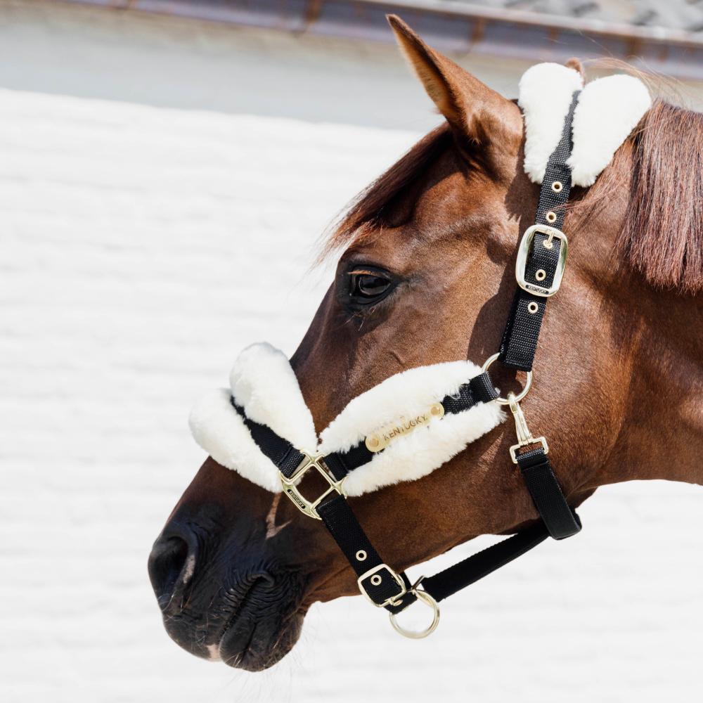 Nylon Sheepskin Halter Soft | Kentucky Horsewear | Comfort — Image 3