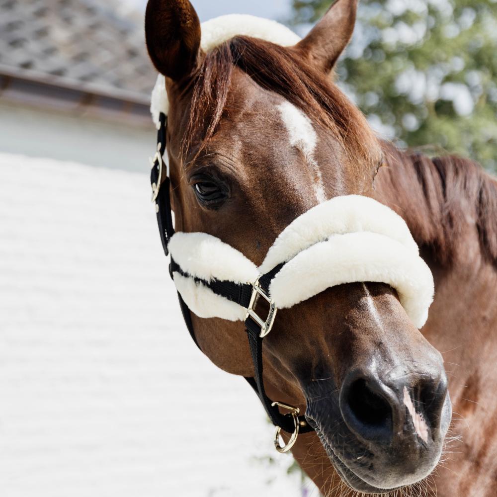 Nylon Sheepskin Halter Soft | Kentucky Horsewear | Comfort — Image 4